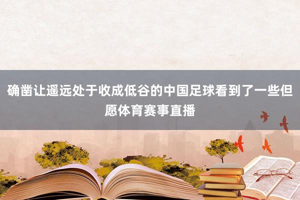 确凿让遥远处于收成低谷的中国足球看到了一些但愿体育赛事直播