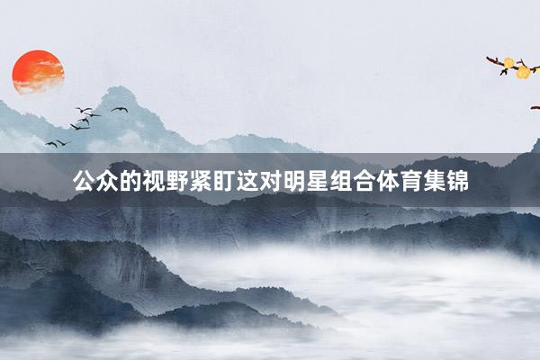 公众的视野紧盯这对明星组合体育集锦