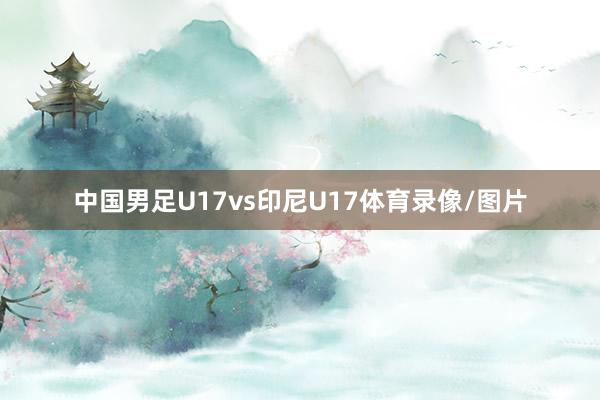 中国男足U17vs印尼U17体育录像/图片