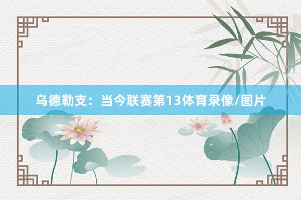 乌德勒支：当今联赛第13体育录像/图片