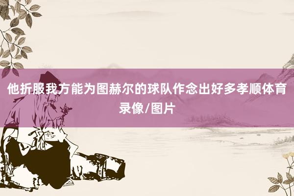 他折服我方能为图赫尔的球队作念出好多孝顺体育录像/图片