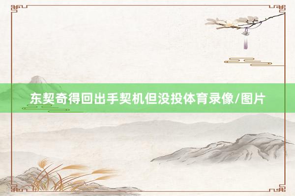 东契奇得回出手契机但没投体育录像/图片