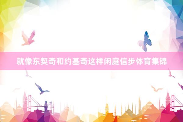 就像东契奇和约基奇这样闲庭信步体育集锦