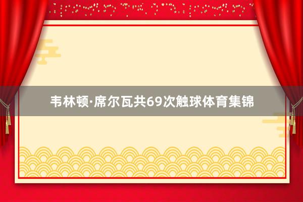 韦林顿·席尔瓦共69次触球体育集锦