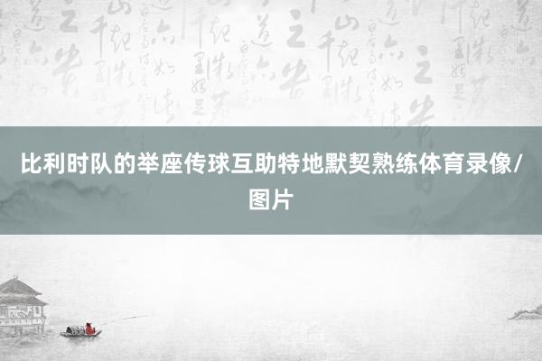 比利时队的举座传球互助特地默契熟练体育录像/图片