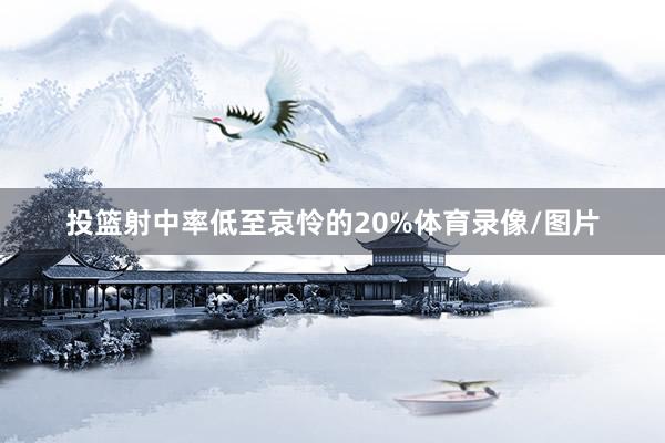 投篮射中率低至哀怜的20%体育录像/图片