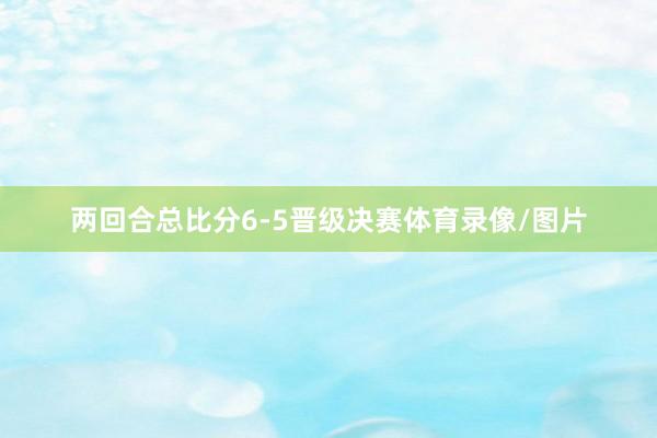 两回合总比分6-5晋级决赛体育录像/图片