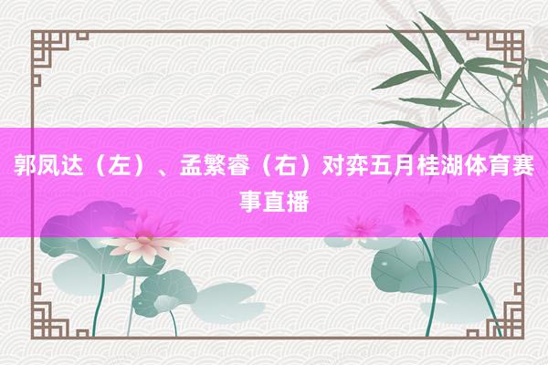 郭凤达（左）、孟繁睿（右）对弈五月桂湖体育赛事直播