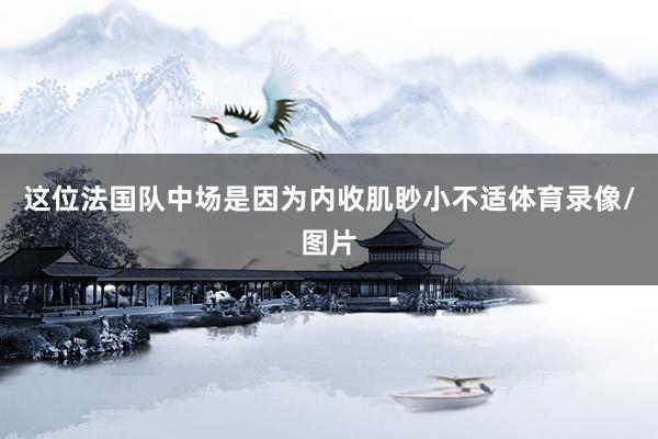 这位法国队中场是因为内收肌眇小不适体育录像/图片